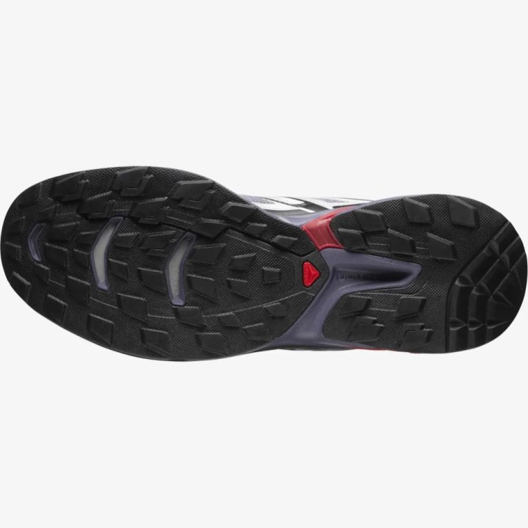 Tenis Salomon Xt-wings 2 Hombre Lavanda Plateados | MX XSYG371